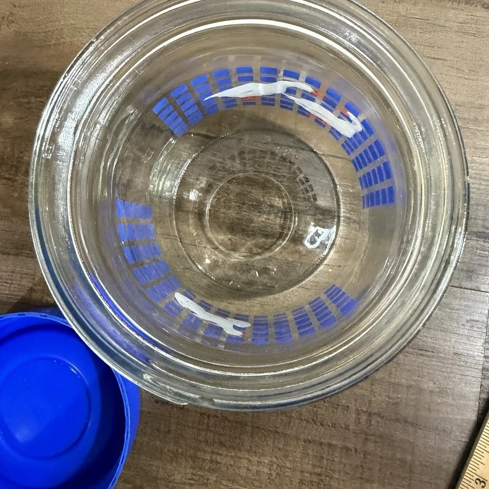 Vintage CARLTON GLASS USA 1 Liter Blue Checked Geese Ducks Canister 1982